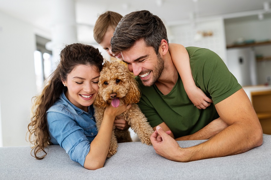 What Are the Benefits of Choosing a Family Dentist?